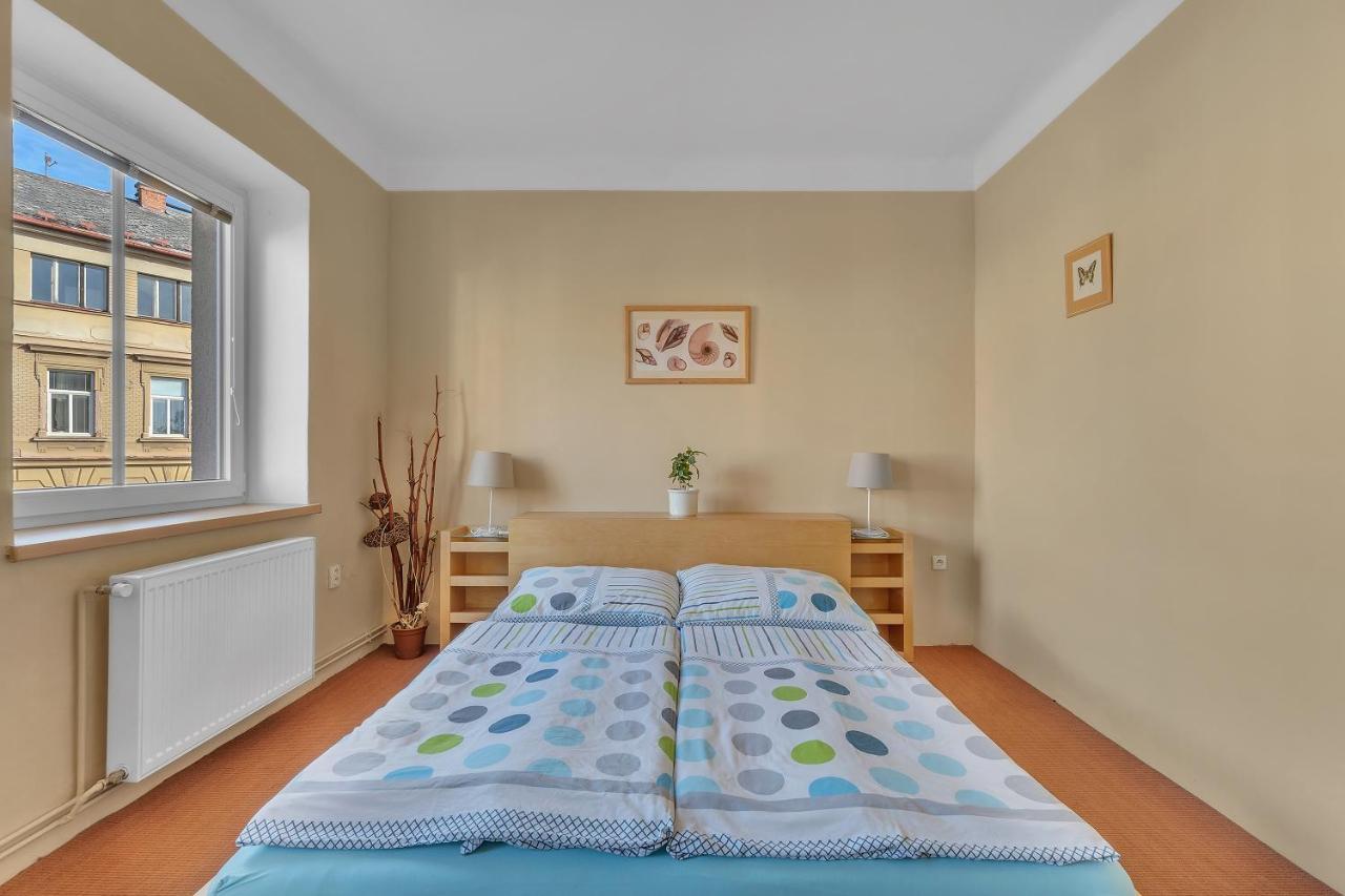 Apartman U Javorky Łaźnie Bělohrad Zewnętrze zdjęcie